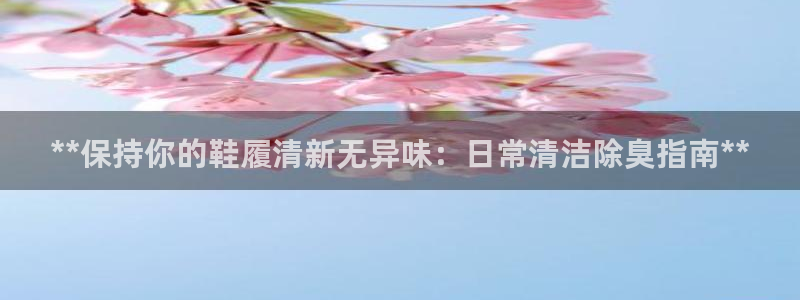 尊龙ag旗舰官网