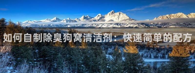 尊龙网站 人生就是博