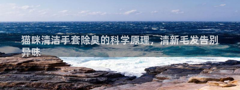 尊龙凯时网站赌愽做假吗：猫咪清洁手套除臭的科学原理，清新
