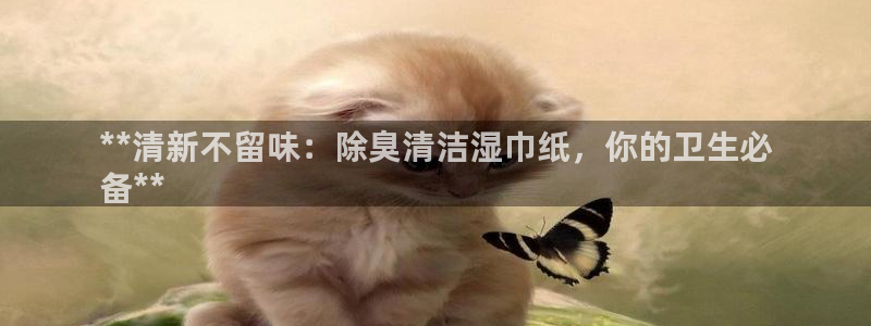 尊龙集团官网：**清新不留味：除臭清洁湿巾纸，你的卫生必
