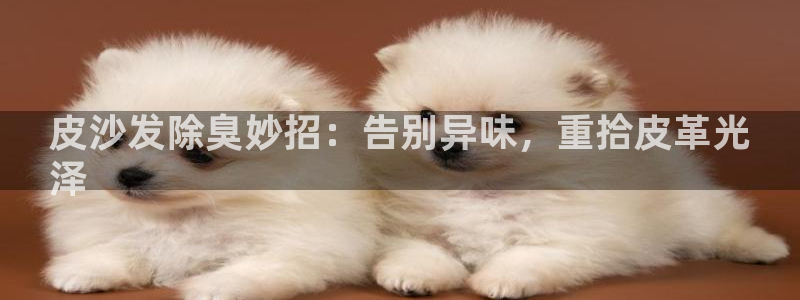 尊龙d88官网so问来就送38