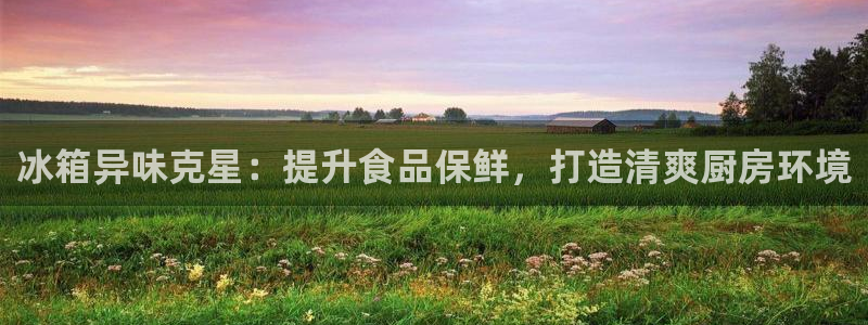 尊龙凯时官网登录入口：冰箱异味克星：提升食品保鲜，打造清