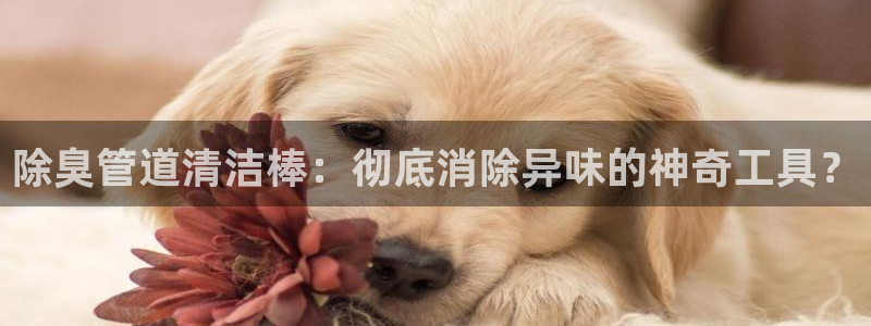 尊龙凯时捕鱼游戏能玩吗