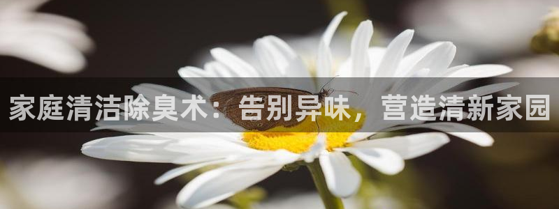 凯时官网的售后服务：家庭清洁除臭术：告别异味，营造清新家