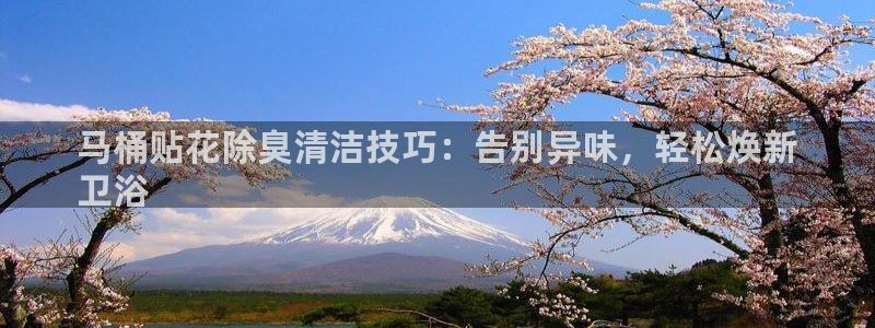 尊龙凯时输了100万：马桶贴花除臭清洁技巧：告别异味，轻