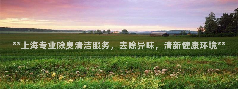 尊龙165：**上海专业除臭清洁服务，去除异味，清新健康