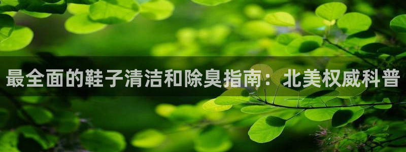 尊龙t300和t400哪个好
