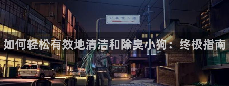 尊龙凯时发展历程
