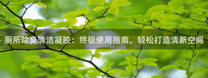 尊龙官网/首选kpm