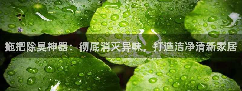 尊龙目前在哪