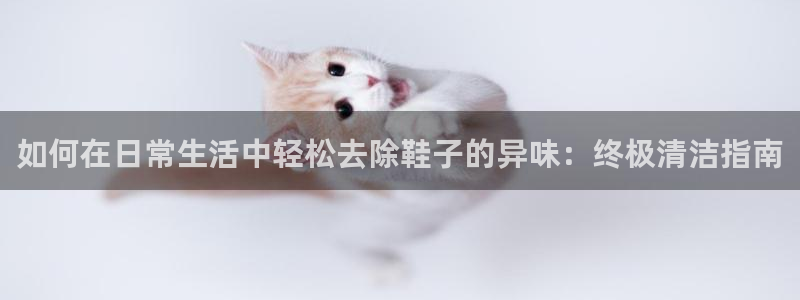 尊龙凯时游戏厅