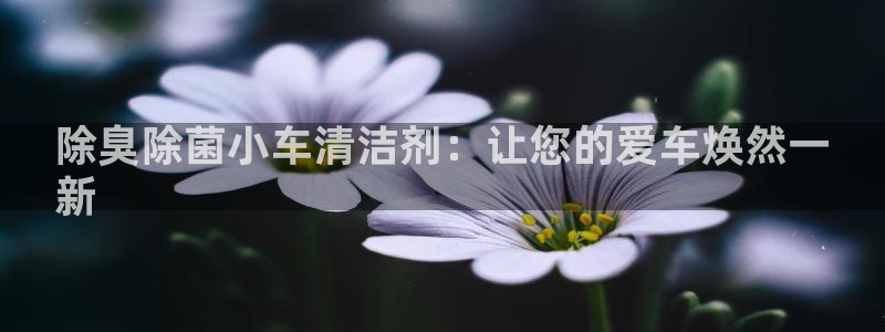 尊龙凯时正规吗
