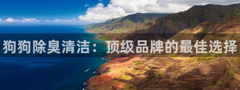 尊龙ag旗舰厅下载
