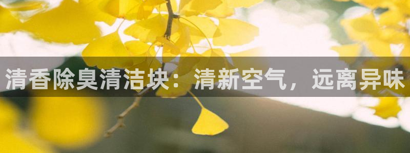 凯时登录界面：清香除臭清洁块：清新空气，远离异味