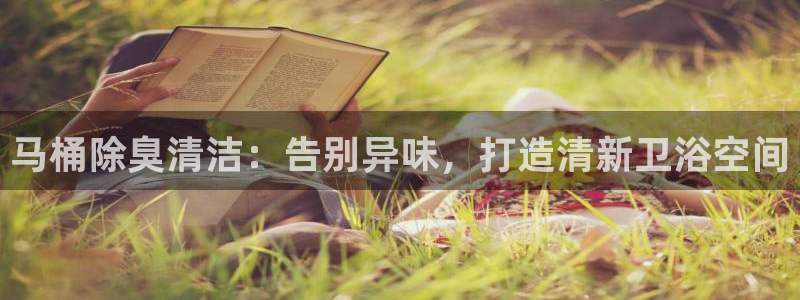 尊龙app注册官网：马桶除臭清洁：告别异味，打造清新卫浴