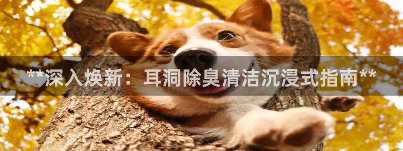 凯时k8官网首页：**深入焕新：耳洞除臭清洁沉浸式指南*