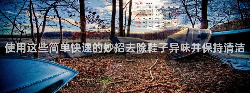 尊龙d88官网新版