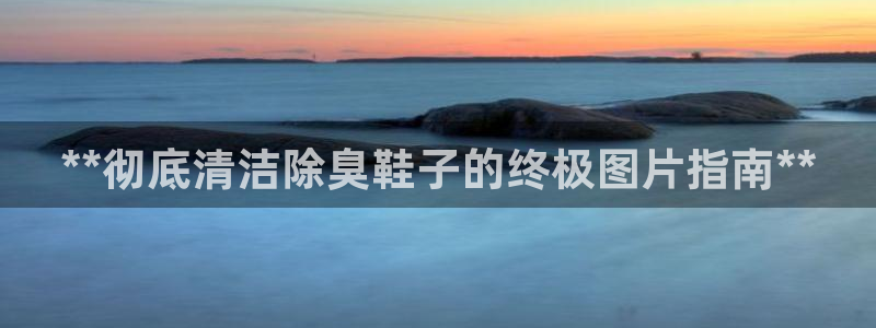 尊龙网站注册网：**彻底清洁除臭鞋子的终极图片指南**