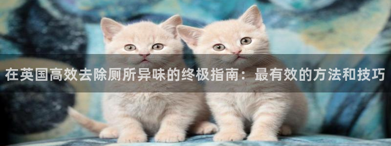 尊龙目前情况