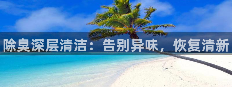 尊龙t400和尊龙t300区别：除臭深层清洁：告别异味，