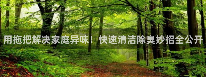 凯时k66登录：用拖把解决家庭异味！快速清洁除臭妙招全公