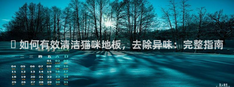 尊龙人生就是博一下首页：✅ 如何有效清洁猫咪地板，去除异