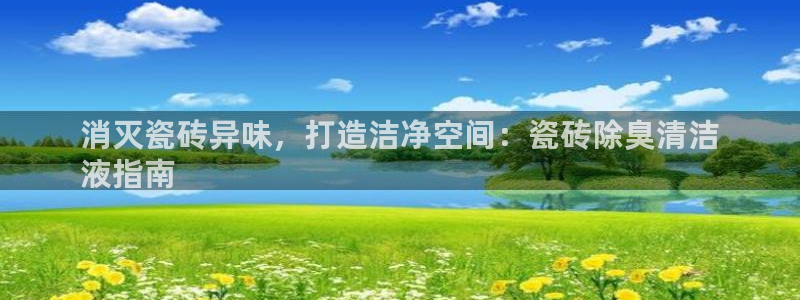 尊龙网站登录：消灭瓷砖异味，打造洁净空间：瓷砖除臭清洁
