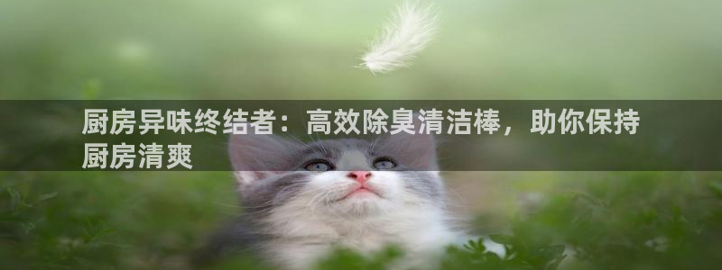 z6com尊龙凯时代理