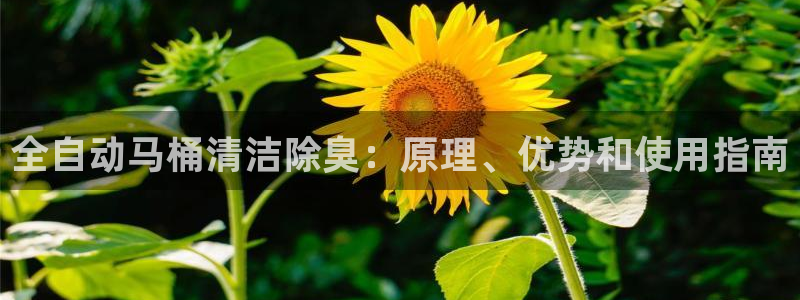 尊龙凯时 人生就是搏首页