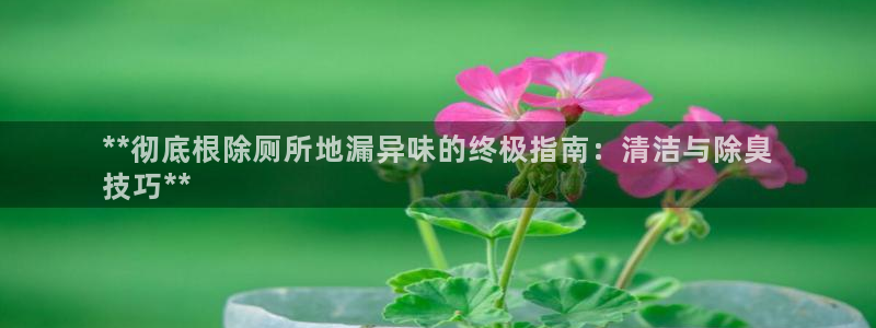 尊龙凯时干什么的：**彻底根除厕所地漏异味的终极指南：清