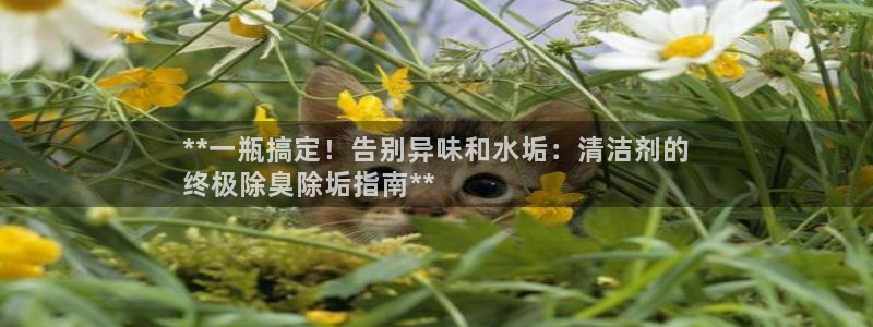 尊龙d88官网确来就送38