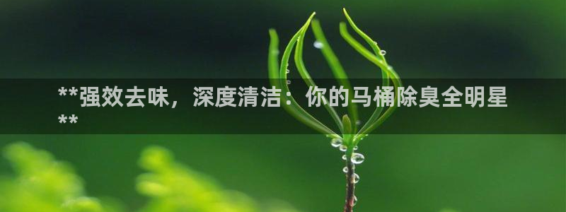 首页尊龙d88国际