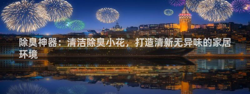 尊龙 6：除臭神器：清洁除臭小花，打造清新无异味的家居
