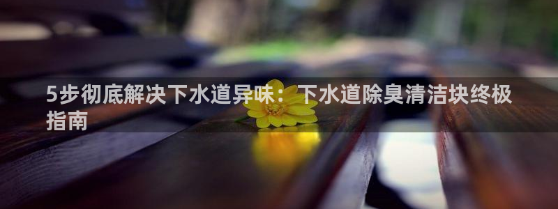 尊龙凯时网站首页手机登录：5步彻底解决下水道异味：下水道