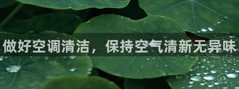 尊龙手机官方客户端下载