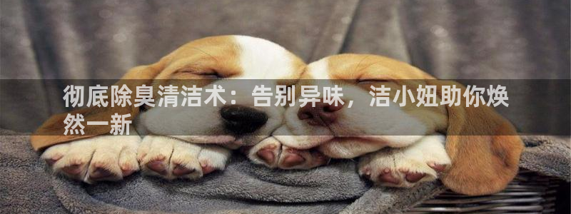 尊龙集团有限公司官网：彻底除臭清洁术：告别异味，洁小妞助