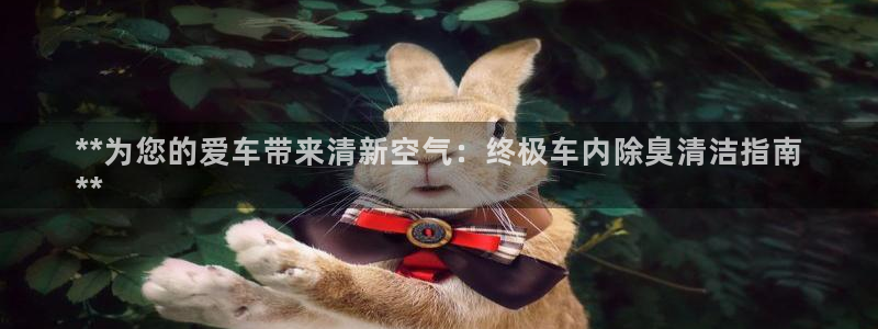 尊龙凯时提现不了：**为您的爱车带来清新空气：终极车内除