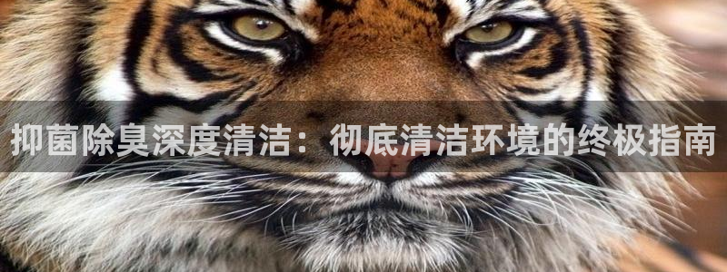 尊龙官方身高