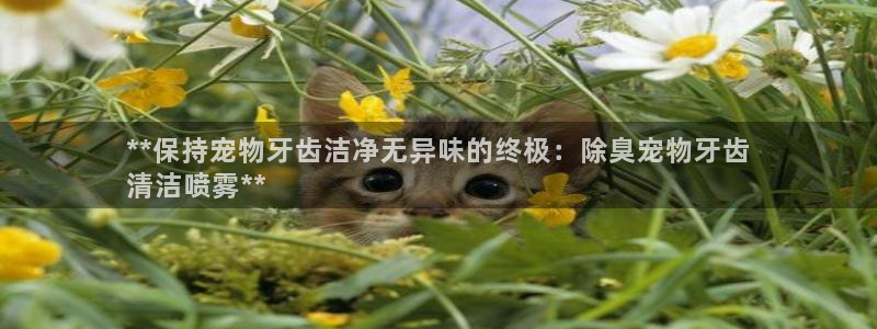 尊龙凯时官网入口：**保持宠物牙齿洁净无异味的终极：除臭