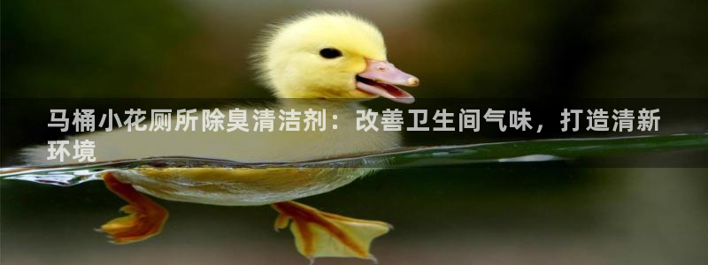 尊龙d88平台版下载：马桶小花厕所除臭清洁剂：改善卫生间