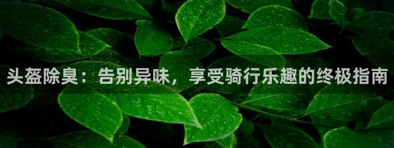 尊龙凯时网娱乐最新版