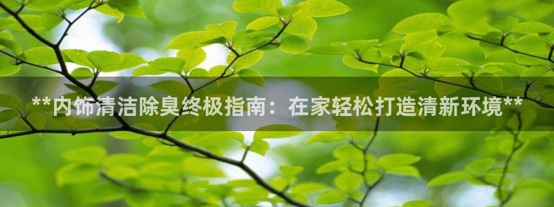 尊龙凯时导航菜单首页：**内饰清洁除臭终极指南：在家轻松