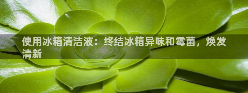 尊龙官方网站最新版V9.3.06介绍：使用冰箱清洁液：终
