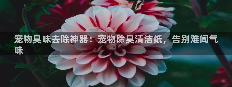 尊龙app|首选agdaohang