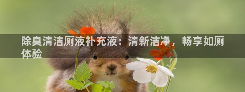 尊龙网址登录官网：除臭清洁厕液补充液：清新洁净，畅享如厕
