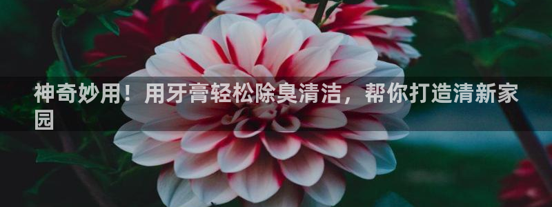 尊龙人生就是博旧版