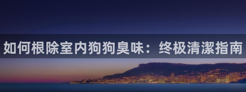 尊龙官方网址：如何根除室内狗狗臭味：终极清潔指南