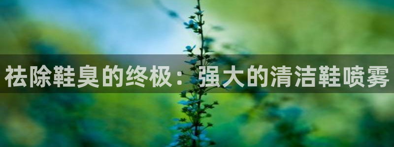 d88尊龙官网登录免费下载：祛除鞋臭的终极：强大的清洁鞋