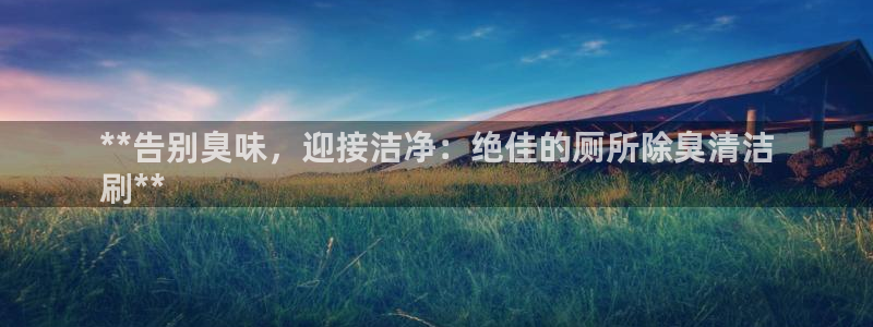 尊龙凯时账号异常审核提不了款怎么办：**告别臭味，迎接洁