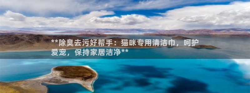 尊龙人生就是博菲律宾台子